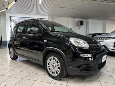 Fiat Panda Panda 1.0 FireFly S&S Hybrid Icon Nero usata REGGIO EMILIA