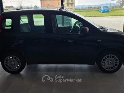 Fiat Panda Panda 1.0 FireFly S&S Hybrid Icon Nero usata REGGIO EMILIA