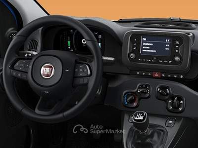 Fiat Panda Panda 1.0 FireFly S&S Hybrid Icon Nero usata REGGIO EMILIA