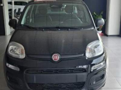 Fiat Panda Panda 1.0 FireFly S&S Hybrid Icon Nero usata REGGIO EMILIA