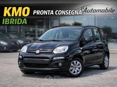 Fiat Panda Panda 1.0 FireFly S&S Hybrid Icon Nero usata REGGIO EMILIA