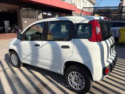Fiat Panda 0.9 t.air t. natural power Easy 80cv my19 Bianco usata Cento