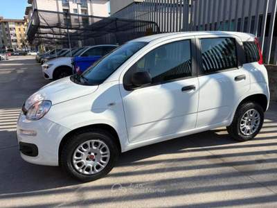 Fiat Panda 0.9 t.air t. natural power Easy 80cv my19 Bianco usata Cento