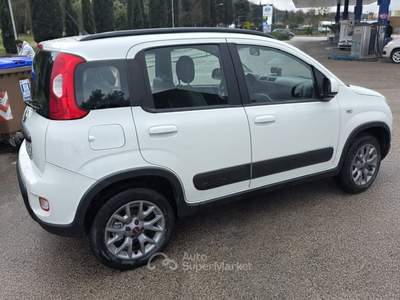 Fiat Panda 4X4 Bianco usata Deruta
