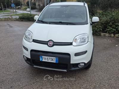 Fiat Panda 4X4 Bianco usata Deruta