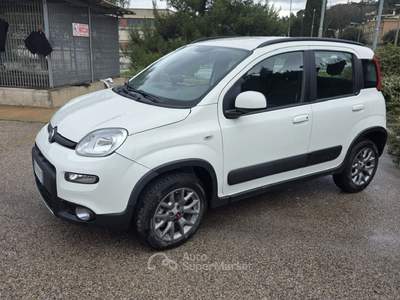 Fiat Panda 4X4 Bianco usata Deruta