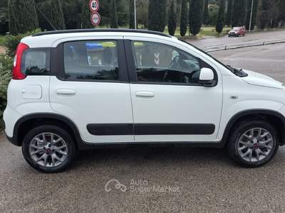 Fiat Panda 4X4 Bianco usata Deruta