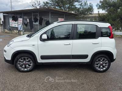 Fiat Panda 4X4 Bianco usata Deruta