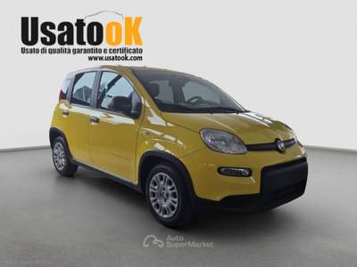 Fiat Panda Panda 1.0 FireFly S&S Hybrid Pop PREZZO REALE - NESSUN VINCOLO DI FINANZIAMENTO Bianco usata AVIGLIANA