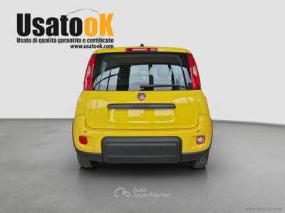 Fiat Panda Panda 1.0 FireFly S&S Hybrid Pop PREZZO REALE - NESSUN VINCOLO DI FINANZIAMENTO Bianco usata AVIGLIANA