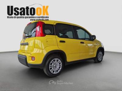Fiat Panda Panda 1.0 FireFly S&S Hybrid Pop PREZZO REALE - NESSUN VINCOLO DI FINANZIAMENTO Bianco usata AVIGLIANA