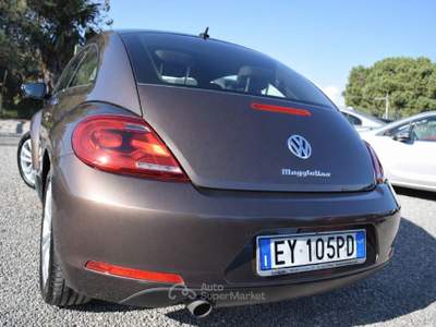 Volkswagen Maggiolino 1.6 TDI Design Marrone usata Montalto di Castro