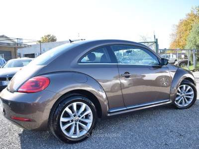 Volkswagen Maggiolino 1.6 TDI Design Marrone usata Montalto di Castro