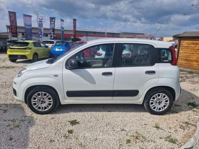 Fiat Panda Easy Bianco usata Roma