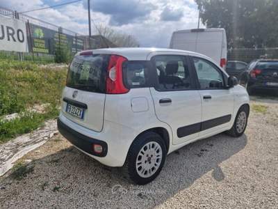 Fiat Panda Easy Bianco usata Roma