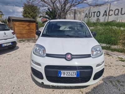Fiat Panda Easy Bianco usata Roma