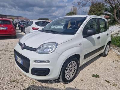 Fiat Panda Easy Bianco usata Roma