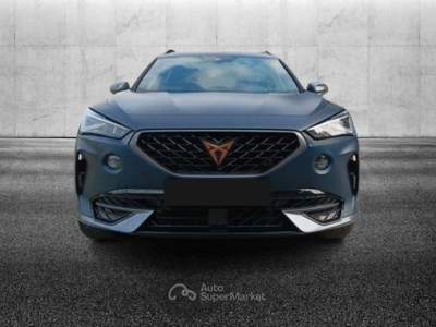 Cupra Formentor 2.0 TSI 4Drive DSG Blu/Azzurro usata Pieve di Cento