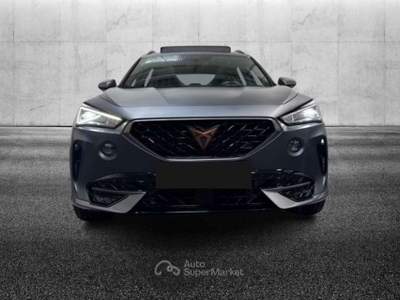Cupra Formentor 2.0 TSI DSG VZ Grigio usata Pieve di Cento