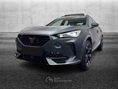 Cupra Formentor 2.0 TSI DSG VZ Grigio usata Pieve di Cento