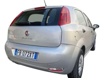 Fiat Punto 1.4 8V 5 porte Easypower Young GPL Grigio usata Rivignano Teor