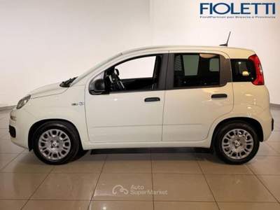 Fiat Panda 3ª SERIE 1.0 GSE S&S HYBRID POP VAN 2 POSTI Bianco usata Manerbio
