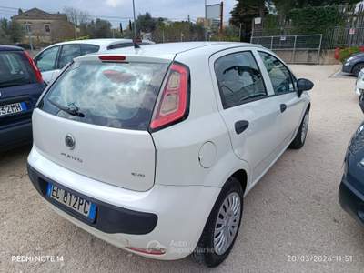 Fiat Punto Evo 1.3 Mjt 75 CV 5 porte Active prezzo fisso motore REVISIONATO Bianco usata Altamura