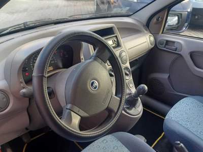 Fiat Panda PIANTONE DELLO STERZO NUOVO NEOPATENTATI Blu/Azzurro usata Follonica