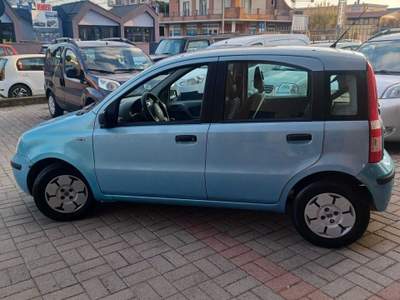 Fiat Panda PIANTONE DELLO STERZO NUOVO NEOPATENTATI Blu/Azzurro usata Follonica