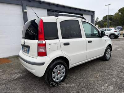 Fiat Panda Panda 1.3 MJT 16V 4x4 Bianco usata Mesagne