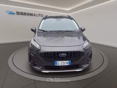 Ford Fiesta active 1.0 ecoboost h 125cv Grigio usata Grumolo delle Abbadesse