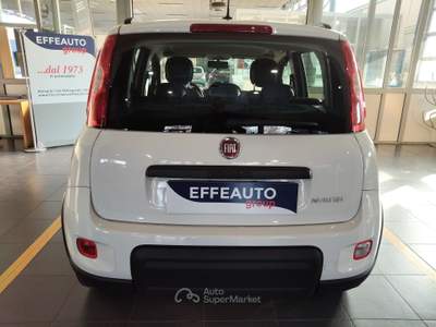 Fiat Panda Panda III 1.0  HYBRID City Life Bianco usata Bologna
