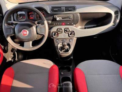Fiat Panda  usata Tuglie