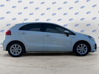 Kia Rio 5p 1.1 crdi Cool E6 usata Pistoia