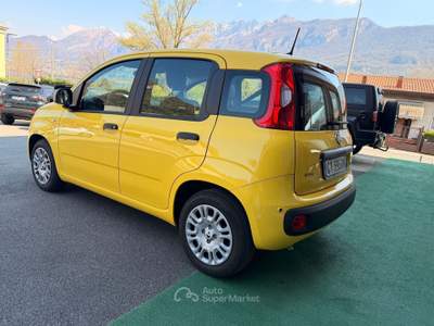 Fiat Panda 1.0 FireFly 70cv S&S Hybrid Giallo usata Cornate D'adda