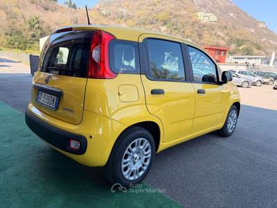 Fiat Panda 1.0 FireFly 70cv S&S Hybrid Giallo usata Cornate D'adda