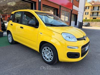 Fiat Panda 1.0 FireFly 70cv S&S Hybrid Giallo usata Cornate D'adda