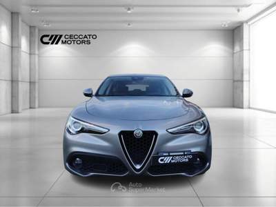 Alfa Romeo Stelvio 2.2 Turbo Business RWD Auto Grigio usata Padova