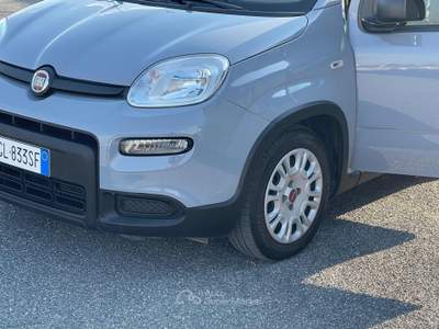 Fiat Panda 1.0 FireFly S&S Hybrid 6 marce Euro6D Grigio usata Fiumicino