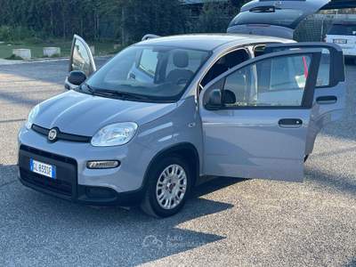 Fiat Panda 1.0 FireFly S&S Hybrid 6 marce Euro6D Grigio usata Fiumicino