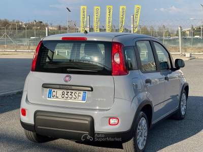 Fiat Panda 1.0 FireFly S&S Hybrid 6 marce Euro6D Grigio usata Fiumicino