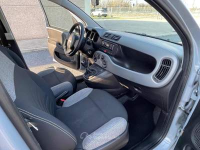 Fiat Panda 1.0 FireFly S&S Hybrid 6 marce Euro6D Grigio usata Fiumicino