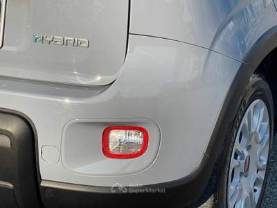 Fiat Panda 1.0 FireFly S&S Hybrid 6 marce Euro6D Grigio usata Fiumicino