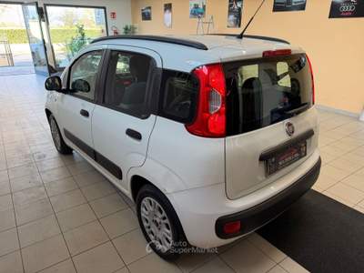 Fiat Panda In perfette condizioni e pronta a viaggiare con te usata Quarrata
