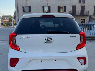 Kia Picanto 12V 5 porte GT Line Bianco usata Mondovì