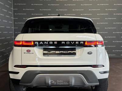 Land Rover Range Rover Evoque 2.0D I4 163 CV AWD Auto S TETTO PANORAMICO Bianco usata Cittadella