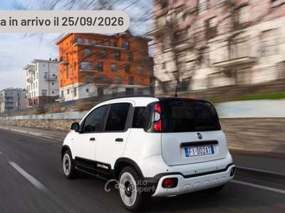 Fiat Panda 1.0 FireFly 65 CV Hybrid Cross Argento usata Pieve di Cento