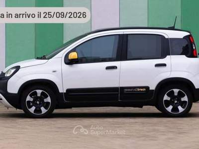 Fiat Panda 1.0 FireFly 65 CV Hybrid Cross Argento usata Pieve di Cento