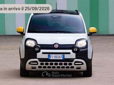 Fiat Panda 1.0 FireFly 65 CV Hybrid Cross Argento usata Pieve di Cento