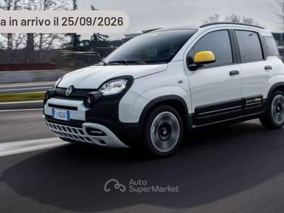 Fiat Panda 1.0 FireFly 65 CV Hybrid Cross Argento usata Pieve di Cento
